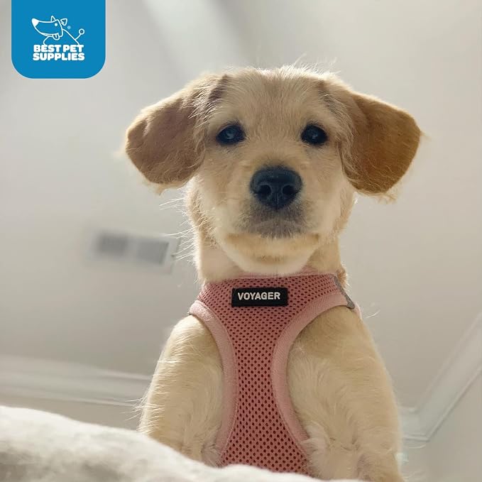 Voyager Step-in Air Dog Vest Harness - Pink, XXX-Small | 11 - 12" in Chest, Reflective Bands, All Weather Breathable Air Mesh, Cats Compatible, Lightweight, Fast Drying
