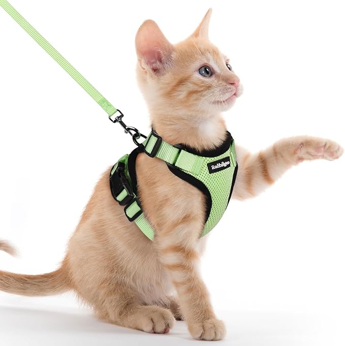 rabbitgoo Cat Harness and Leash Set, Escape Proof Vest, Light Green | Soft Breathable Mesh, Easy Adjustable Fit, Snap Buckles, Sturdy Clip, Reflective Strips, for Kittens & Small Cats Walks, Xxs