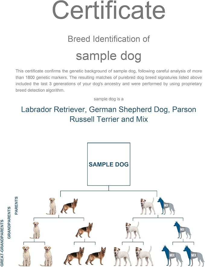 Dog Breed DNA Test Kit