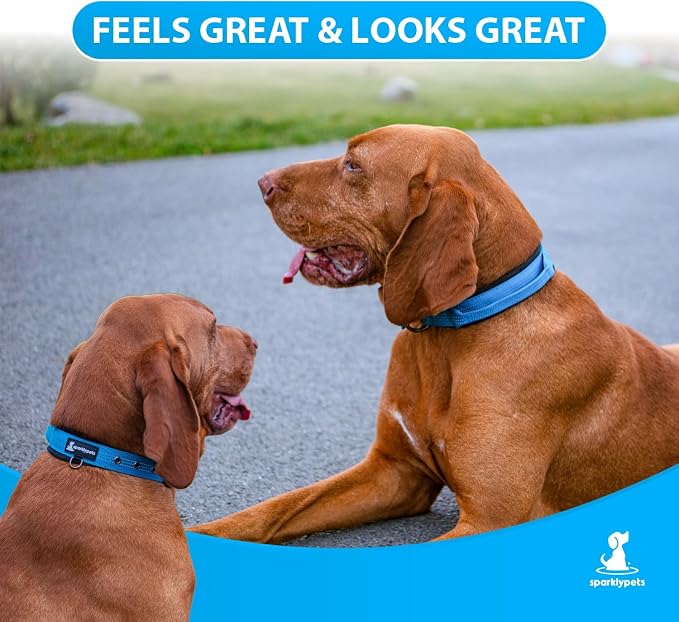 SparklyPets Heavy Duty Dog Collar with Handle for Medium and Large Dogs – Professional Collar with Reflective Stitches, Soft Handle & Nickel-Plated Buckle (Large (18"~22"), Blue)