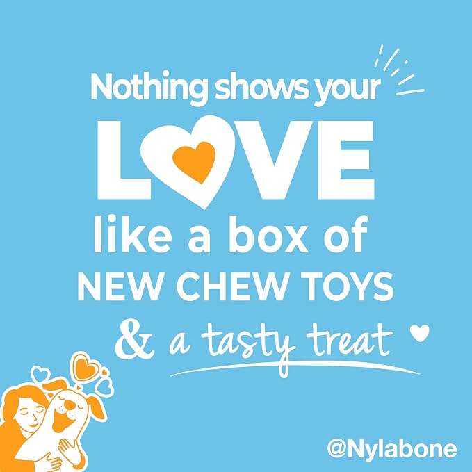 Nylabone Puppy Gift Box, Strong Chew Toys & Treat, Small, 4 Count | Flavor variety, 3 puppy toys & 1 natural treat dog bone, gifts for puppies, teething toys for small puppies up to 25 lbs