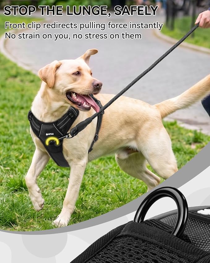 Joytale No Pull Dog Harness & Seat Belt, Easy On 3-Buckle, S, Black | Front Clip Reduces Pulling, Escape-Resistant Design, Adjustable Fit, Soft Padding for Comfort, Secure Tether for Safer Travel