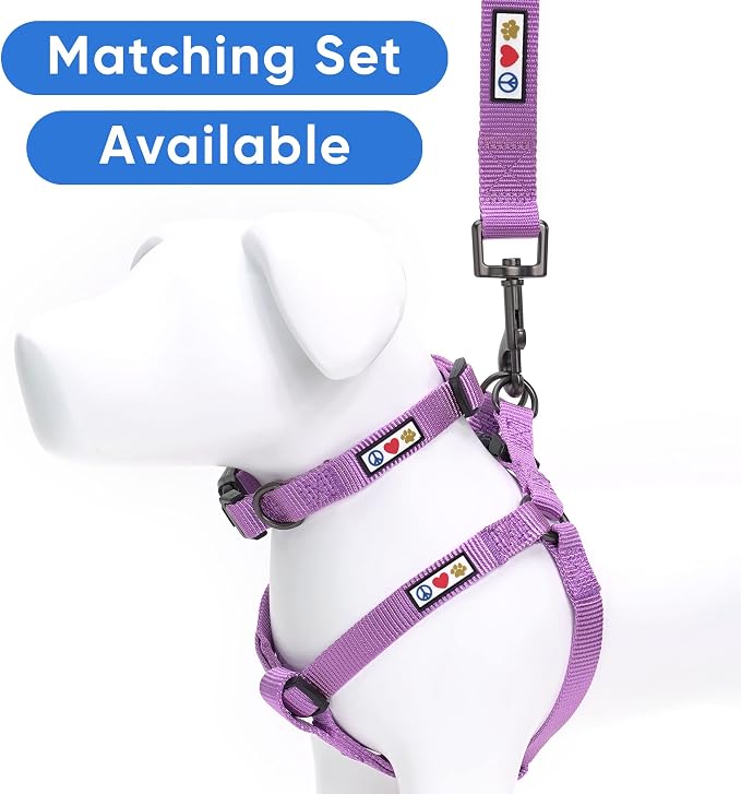 Pawtitas Solid 6 ft Orchid Dog Leash XS/S Custom Name and Phone Embroidery Strong Nylon Leash for Small Breeds