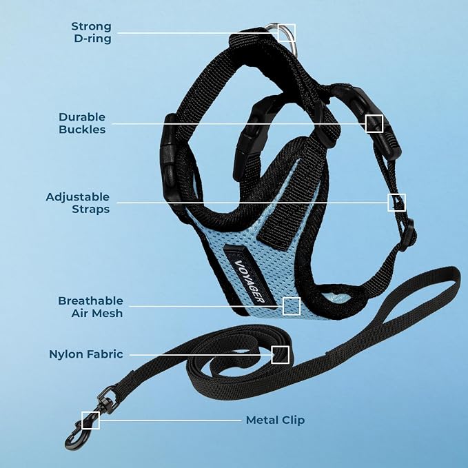 Voyager Escape-Proof Step-in Lock Cat Harness & 5ft Neoprene-Handle Leash Set All-Weather Mesh with Reflective Stitching for Small to Large Cats by Best Pet Supplies, Baby Blue/Black Trim, XXXS