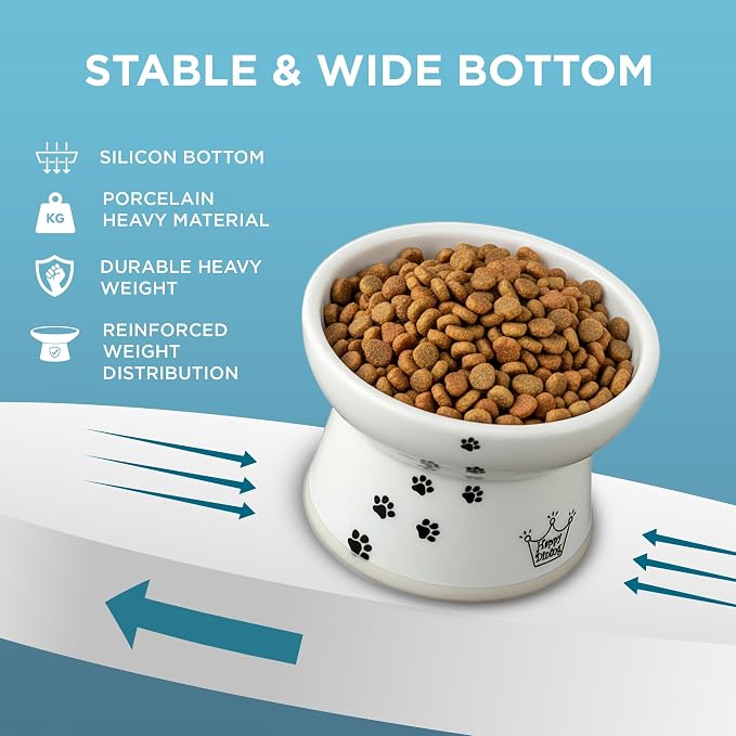 Necoichi Raised Cat Food Bowl – Ceramic Elevated Cat Bowl for Whisker & Neck Fatigue, Dishwasher Microwave Safe – Non-Slip & Anti Vomiting Ergonomic Design (Cats, Regular, 1-Cup Capacity)