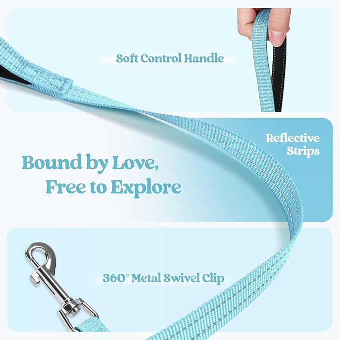 rabbitgoo Dog Harness Medium Sized and Leash Set, Step-in Puppy Pet Vest | Light, Soft, Breathable Air Mesh, Easy on and Remove with Hook & Loop, Secure Reflective for Walking, Mint Blue XL