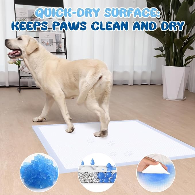 Dog Pee Pads Extra Large 36x36 Inches, 30 Count – Extra Thick 6-Layer Heavy Duty Holds Up to 12 Cups, Quick-Dry Leak-Proof Disposable Potty Training Pads for Dogs Cats (30 Count)