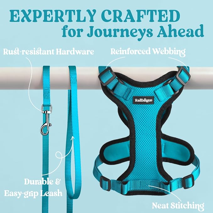 rabbitgoo Cat Harness and Leash Set, Escape Proof Vest, Teal | Soft Breathable Mesh, Easy Adjustable Fit, Snap Buckles, Sturdy Clip, Reflective Strips, for Average Cats Walks, S