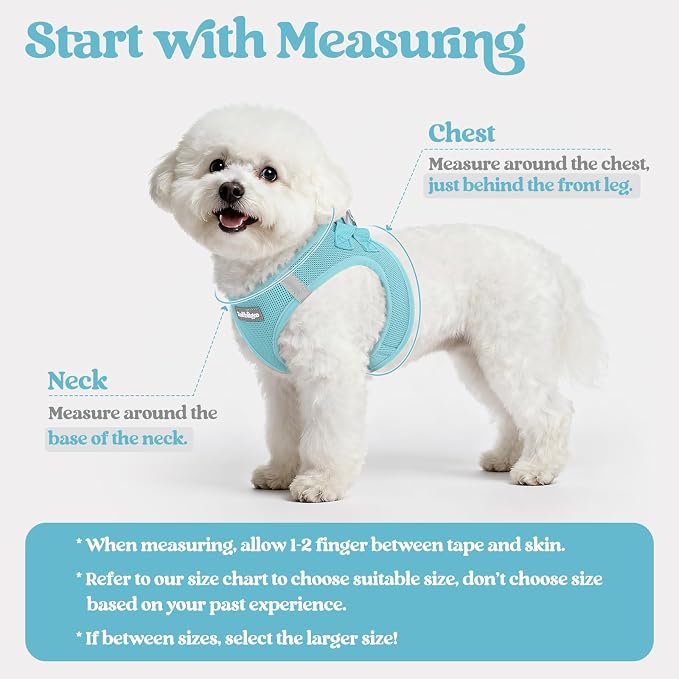 rabbitgoo Dog Harness Medium Sized and Leash Set, Step-in Puppy Pet Vest | Light, Soft, Breathable Air Mesh, Easy on and Remove with Hook & Loop, Secure Reflective for Walking, Mint Blue XL