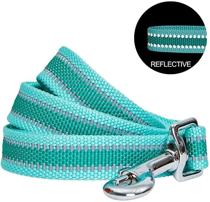Blueberry Pet Essentials Reflective Better Basics Dog Leash, Minty Green, 5 ft x 3/4", Medium, Leashes for Dogs