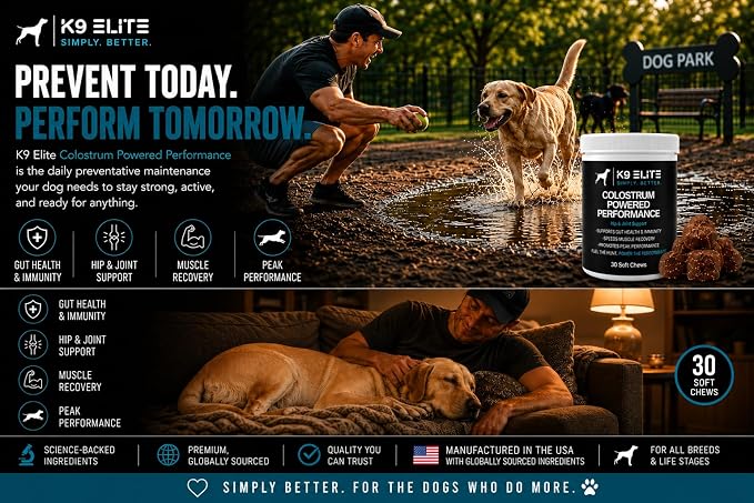 Hip & Joint Supplement for Dogs – Glucosamine, Chondroitin, Green Lipped Mussel, Colostrum, Collagen & Omega-3 – Daily Joint, Mobility, Gut & Immune Support –