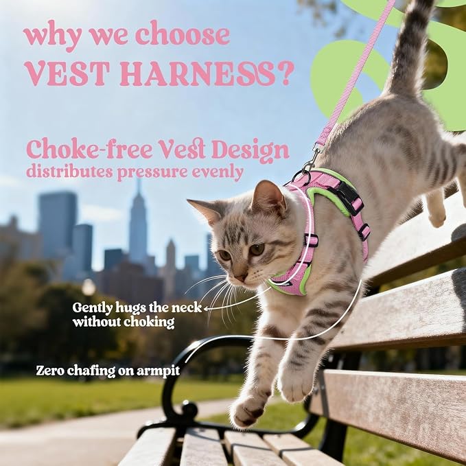 rabbitgoo Cat Harness and Leash Set, Escape Proof Vest, Pink & Light Green | Soft Breathable Mesh, Easy Adjustable Fit, Snap Buckles, Sturdy Clip, Reflective Strips, for Average Cats Walks, S