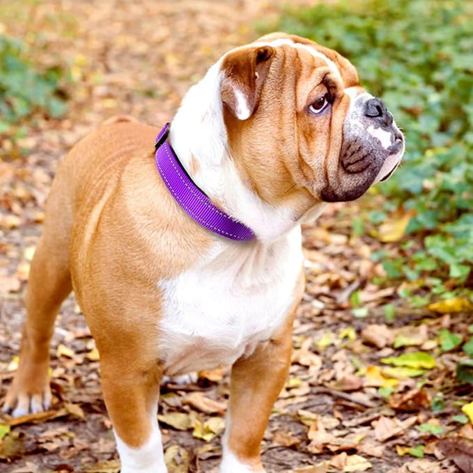 Joytale Dog Harness (Chest: 17-34"), Dog Collar and 6FT x 1" Wide Dog Leash Set, Reflective Padded Nylon Collar and Leash, Adjustable Soft Harness with Handle for Dogs