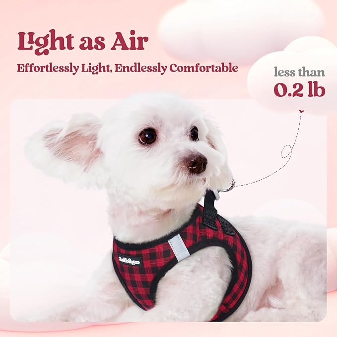 rabbitgoo Dog Harness Medium Sized and Leash Set, Step-in Puppy Pet Vest | Light, Soft, Breathable Air Mesh, Easy on and Remove with Hook & Loop, Secure Reflective for Walking, Red Check L