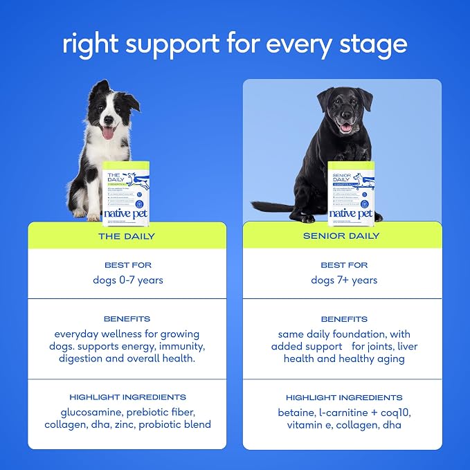 Native Pet Senior Daily Dog Vitamins & Supplements – 12-in-1 Dog Multivitamin Powder for Senior Dogs – Supports Mobility, Cognition, Digestion, Immune Health & More – 60 Scoops
