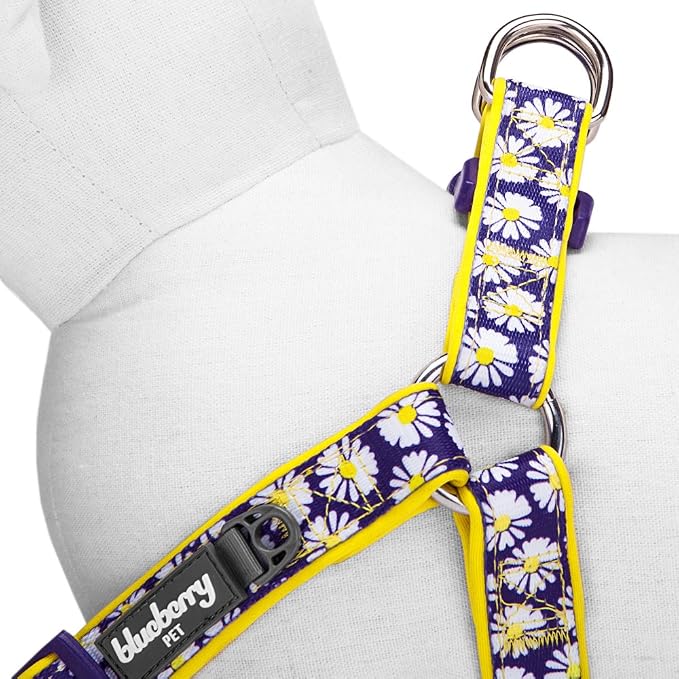 Blueberry Pet 2 Patterns Soft & Comfy Step-in Loving Daisy Prints Padded Dog Harness, Chest Girth 20" - 26", Medium, Adjustable Harnesses for Dogs