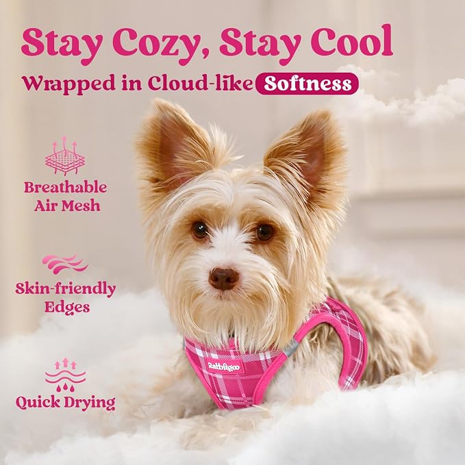 rabbitgoo Step-in Small Dog Harness, Puppy Vest for Small Sized Pet | Easy Put on and off, Lightweight, Soft, Breathable Quick-Dry Air Mesh for Comfortable Secure Walking, Rose Red Plaid XS