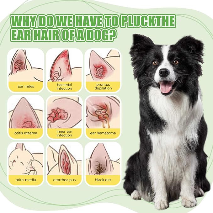 Dog Ear Powder Set with 5 Inch Hemostat & Paw Trimmer, 1.76oz/50g