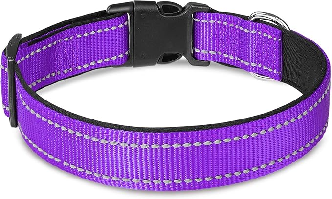 Joytale 12-16 inches Dog Collar and 6FT Leash, Reflective Soft Neoprene Padded Pet Collars and Leashes for Small Dog