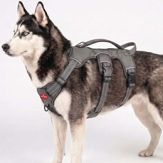 Tuff Pupper Escape Proof No Escape Dog Harness | 5 Point Adjustable Fit Harness for Dogs | Padded Dog Harnesses | Handle Dog Lift Harnesses