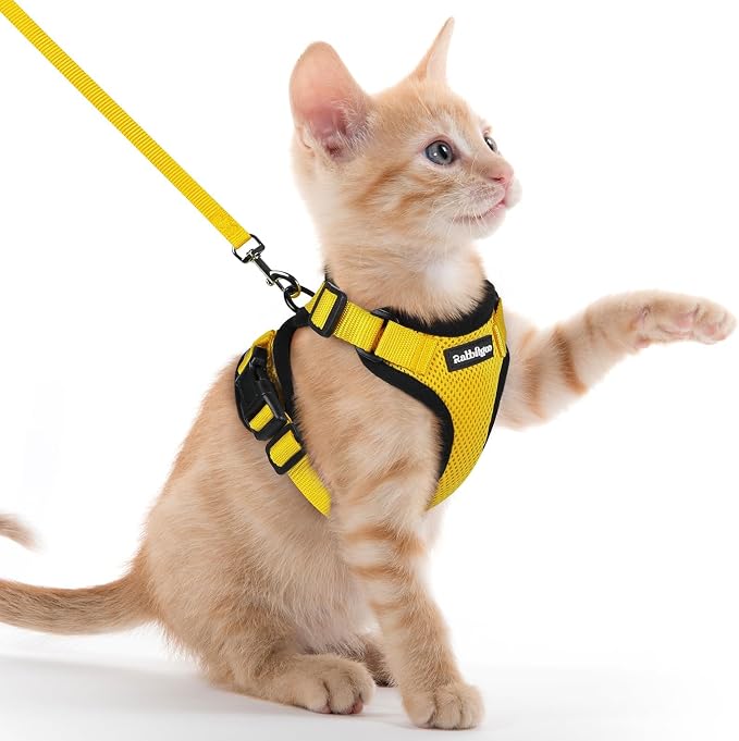 rabbitgoo Cat Harness and Leash Set, Escape Proof Vest, Yellow | Soft Breathable Mesh, Easy Adjustable Fit, Snap Buckles, Sturdy Clip, Reflective Strips, for Kittens & Small Cats Walks, Xxs