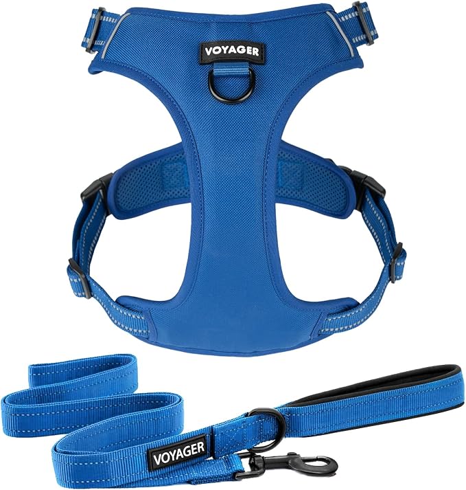 Voyager Dog Harness Dual Leash Attachment No-Pull Control Adjustable Soft but Strong Pet Harness for Medium and Large Dogs with 3M Reflective Technology, Leash Set Royal Nylon, XL (Chest: 28-37")