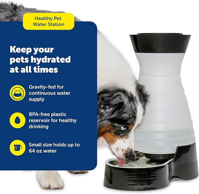 PetSafe Healthy Pet Water Station - Small, 64 oz Capacity - Gravity Pet Water Fountain, Automatic Cat Water Fountain, Dog Water Fountain, Water Dispenser - Removable Stainless Steel Bowl Included