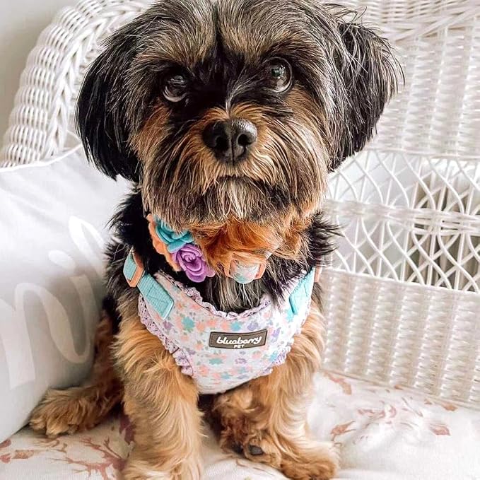 Blueberry Pet Soft & Comfy Made Well Lovely Floral No Pull Mesh Puppy Dog Harness Vest in Lavender, Chest Girth 14"-16", X-Small, Adjustable Harnesses for Dogs & Cats