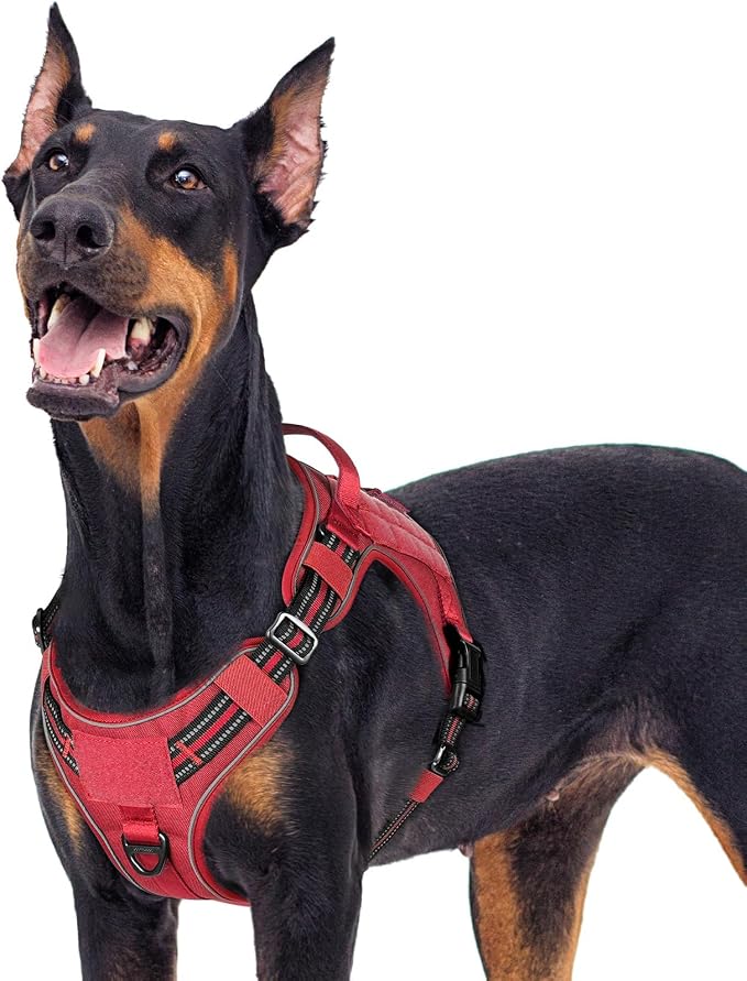 rabbitgoo Tactical Dog Harness for Large Dogs, No Pull Service Pet Vest | Military Molle System & Easy Control Handle, Adjustable and Reflective for Walking and Training, Red, X-Large