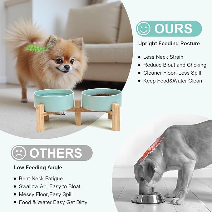 SPUNKYJUNKY Elevated Dog Bowls Ceramic, 5.1'' Dogs and Cat Food Water Bowls Raised with Non-Slip Bamboo Stand for Puppy Small Sized Breed Microwave Dishwasher Safe - 13.5 OZ,Light Green