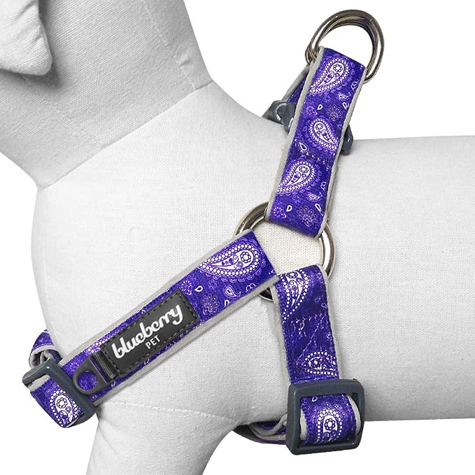 Blueberry Pet 5 Colors Soft & Comfy Step-in Paisley Flower Print Dog Harness, Chest Girth 20" - 26", Violet, Medium, Adjustable Harnesses for Dogs