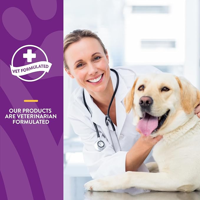 NaturVet VitaPet Senior Daily Vitamin Dog Supplements - 365 Ct | Full Spectrum of Vitamins & Minerals, Enhanced with Glucosamine for Added Joint Support, 365 Time Release Tablets