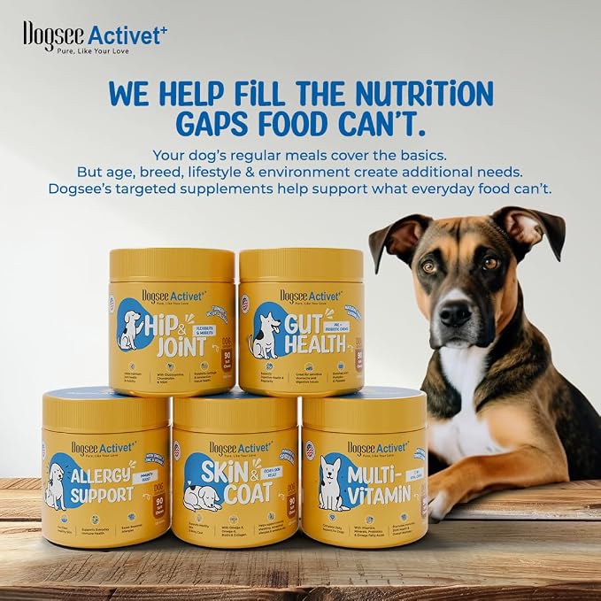 Dogsee Activet+ Dog 12 in 1 Multivitamin Supplement Chews, with Vitamins, Minerals, Probiotics, Omega 3 & Glucosamine for Overall Dog Health, Chicken Flavor – 90 Chews