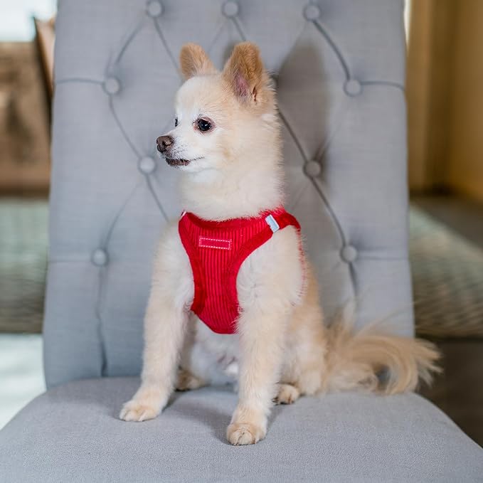 Voyager Step-in Plush Dog Vest Harness -Red Corduroy, Small | 14.5 - 16" in Chest, Soft Plush, Reflective Bands, Cold-Weather Harness, Cats Compatible. Step-In Style,