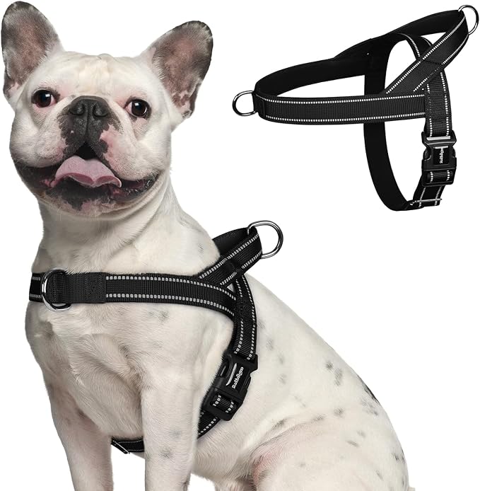 rabbitgoo Dog Harness No Pull, Quick Fit for Medium Sized Dog, Reflective | Chest Adjustable Pet Vest with Soft Padded Handle, No Choke Escape Proof for Walking Training, Black M
