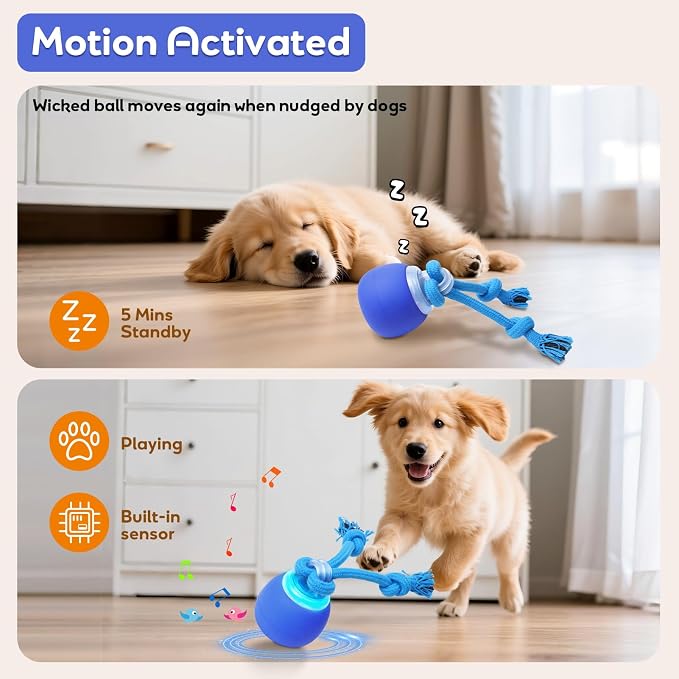 Interactive Dog Toys Bouncing & Jumping Dog Ball | Squeaky Doggie Toys Touched Activated Fast & Slow Mode, Wicked Ball for Dog Boredom, Keep Dogs Busy