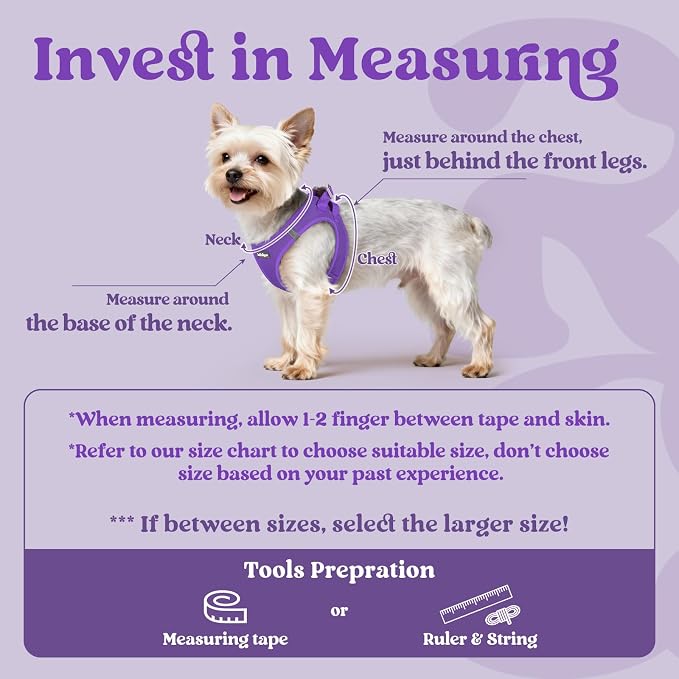 rabbitgoo Step-in Small Dog Harness, Puppy Vest for Small Sized Pet | Easy Put on and off, Lightweight, Soft, Breathable Quick-Dry Air Mesh for Comfortable Secure Walking, Purple S