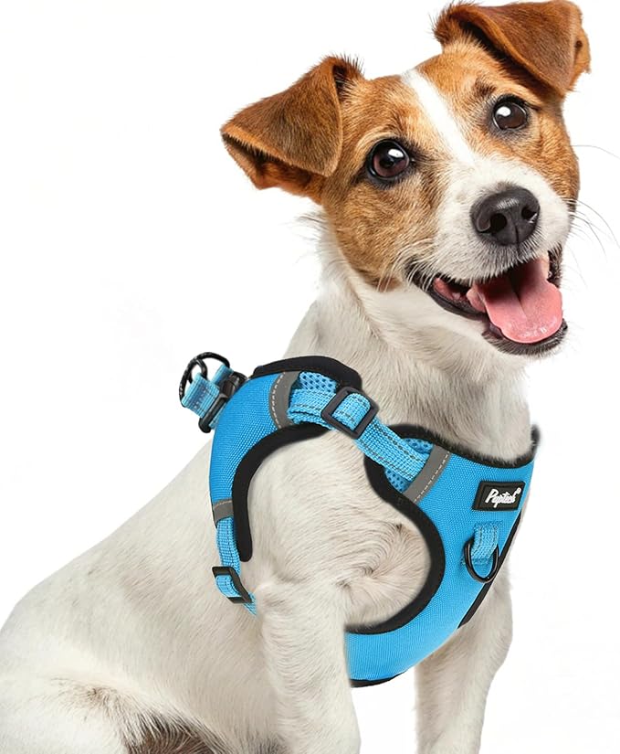 PUPTECK Dog Harness Small Sized Dog, Step in Adjustable Reflective Dog Vest Harness Escape Proof, No Pull Soft Padded Harness Easy Control, Blue, S
