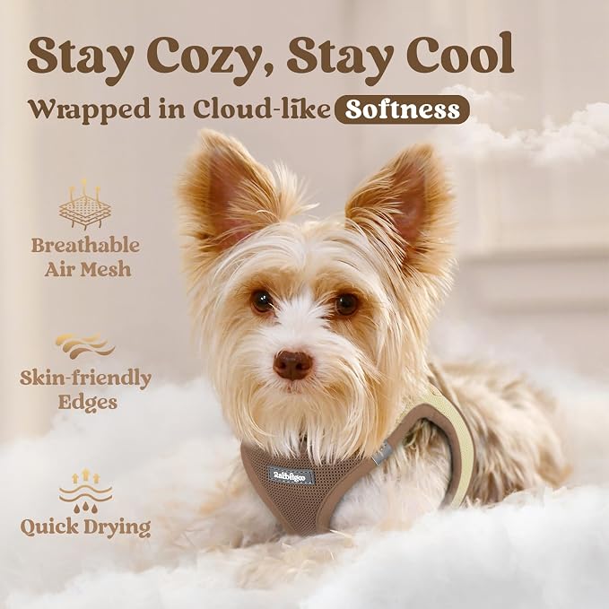 rabbitgoo Step-in Small Dog Harness, Puppy Vest for Small Medium Sized Pet | Easy Put on and off, Lightweight, Soft, Breathable Quick-Dry Air Mesh for Comfortable Secure Walking, Brown & Beige L