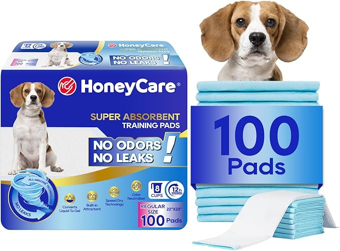 HONEY CARE All-Absorb A07 Bulk Packaging Training Pads, Blue, Large - 22" x 23" 200ct