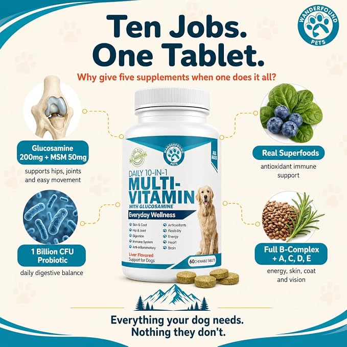 Wanderfound Pets 10-in-1 Dog Multivitamin, Chewable Dog Vitamins with Glucosamine, D3, and MSM, Dog Health Supplies for Immune System and Joint Health, Liver Flavor, 60 Tablets
