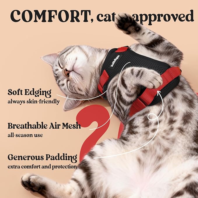 rabbitgoo Cat Harness and Leash Set, Escape Proof Vest, Black & Red | Soft Breathable Mesh, Easy Adjustable Fit, Snap Buckles, Sturdy Clip, Reflective Strips, for Small & Average Cats Walks, Xs