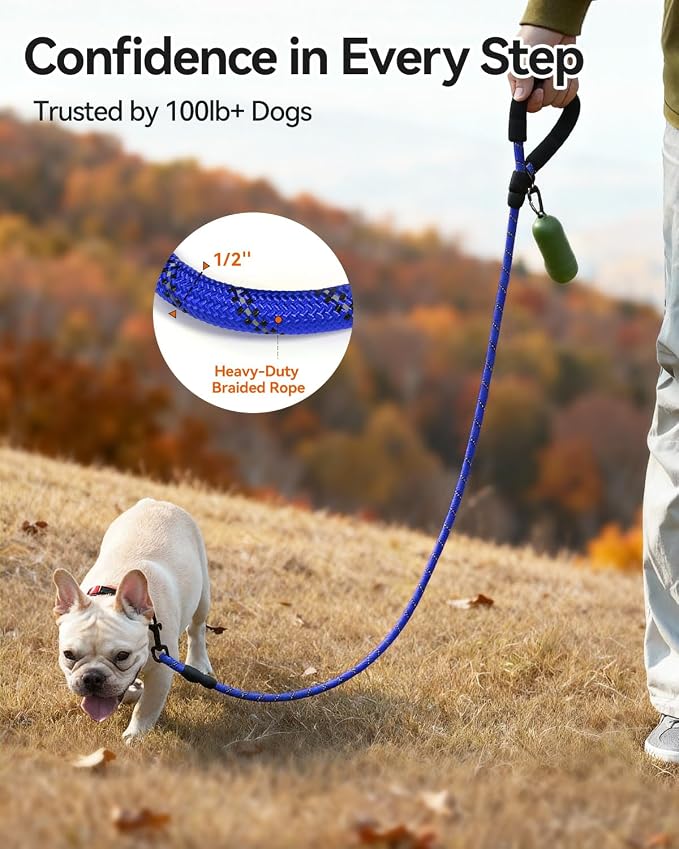 Joytale Rope Dog Leash for Small Dogs, Padded Handle, 6FT, Navy Blue | Reinforced Nylon Webbing, Comfort Grip Eases Hand Strain, Swivel Clip Prevents Tangles, Visible at Night, for Outdoor Walks