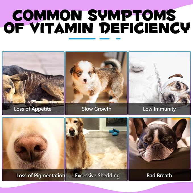 15-in-1 Dog Multivitamin Drops, Liquid Multivitamin Drops for Dogs, 2 oz | with Glucosamine, MSM & Omega for Joint, Heart, Immune & Skin Health, Easy Liquid Drops for Picky Eaters, All Ages, Breeds