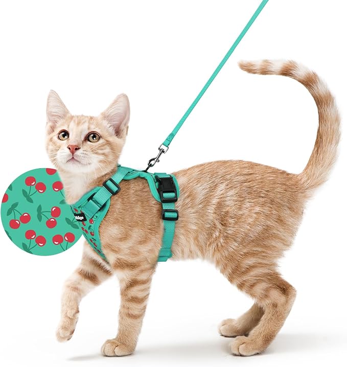 rabbitgoo Cat Harness and Leash Set, Escape Proof Vest, Cherry Grove | Soft Breathable Mesh, Easy Adjustable Fit, Snap Buckles, Sturdy Clip, Reflective Strips, for Average Cats Walks, S