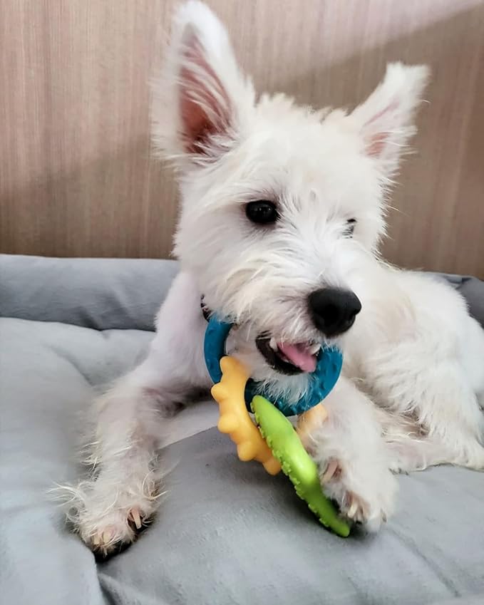 Nylabone Puppy Power Chew Teething Rings Dog Chew Toy, Bacon Flavor, Small | For powerful chewing styles, durable puppy toys to keep them busy, puppy enrichment, for dogs up to 25 lbs