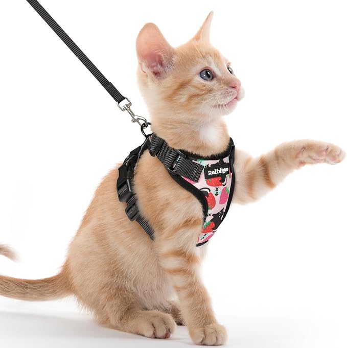 rabbitgoo Cat Harness and Leash Set, Escape Proof Vest, Berry Pounce | Soft Breathable Mesh, Easy Adjustable Fit, Snap Buckles, Sturdy Clip, Reflective Strips, for Kittens & Small Cats Walks, Xxs