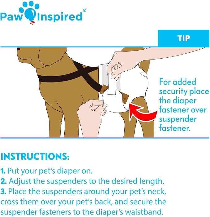 Paw Inspired Reusable Washable Dog Diapers (Pack of 3) in Assorted Colors with White Lining and Dog Diaper Suspenders in Black Combo Pack (Medium)