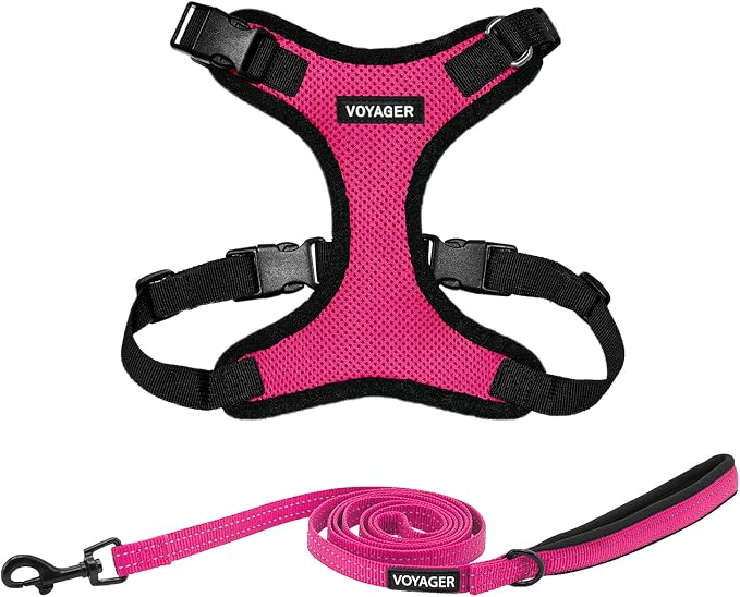 Best Pet Supplies Voyager Step-in Lock Pet Harness w Reflective Pet Leash Combo Set with Neoprene Handle 5ft - Supports Small, Medium and Large Breed Puppies/Cats - Fuchsia/Black Trim, XL