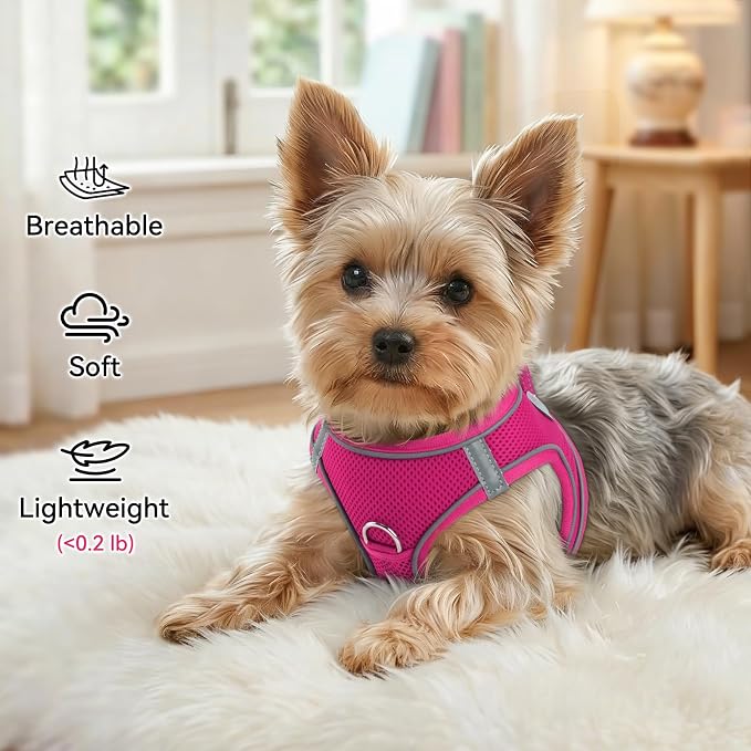 Joytale Step-in Dog Harness, Soft Breathable Mesh, Hot Pink XXS | Adjustable Fit for Small Dogs, Easy Step-in with Secure Fastener, Even Chest Pressure, Reflective For Night Safety, Washable